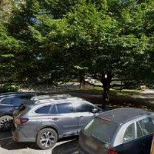 obrazek: avatar OREL VÍTĚZSLAV