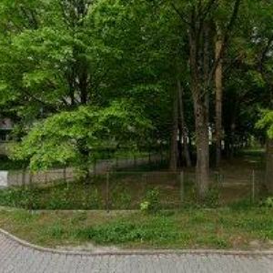 obrazek: avatar BIOBAG