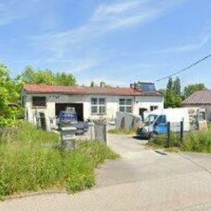 obrazek: avatar RUT JIŘÍ