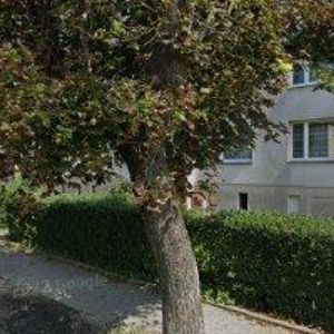 obrazek: avatar DŘÍMAL VLASTIMIL