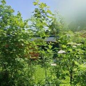 obrazek: avatar CIESLAR, s.r.o.