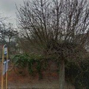 obrazek: avatar EURO GROUP MORAVIA s.r.o.