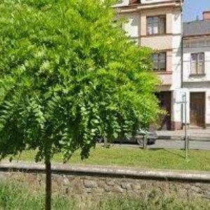 obrazek: avatar GADAS MAREK Ing.