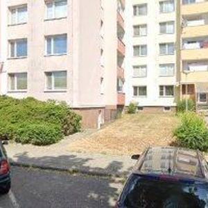 obrazek: avatar BADALÍKOVÁ OLGA PhDr.