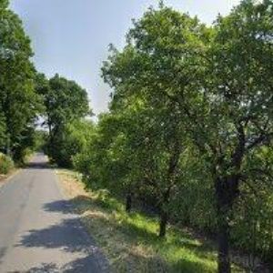 obrazek: avatar SLÍVKA SLAVOJ