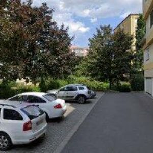obrazek: avatar MARKOVÁ LENKA Bc.