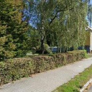 obrazek: avatar ZING TRADING s.r.o.