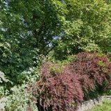 POŽÁRNÍ A ZNALECKÁ s.r.o.