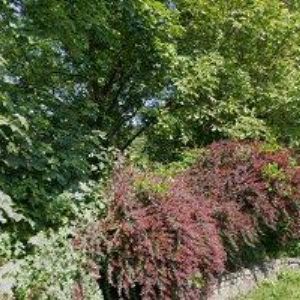 obrazek: avatar POŽÁRNÍ A ZNALECKÁ s.r.o.