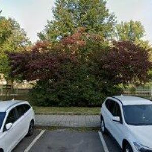 obrazek: avatar AUGUSTINKOVÁ LUCIE Mgr.