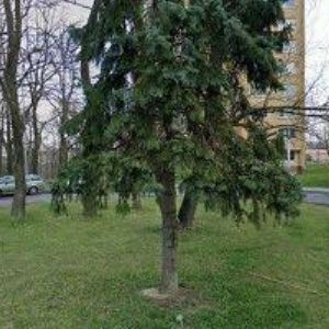 obrazek: avatar PTÁČEK ALEŠ Ing.