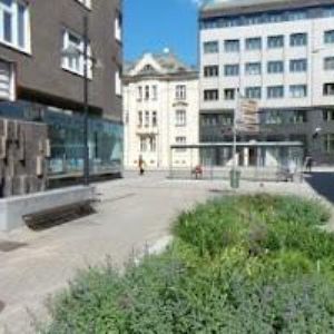 obrazek: avatar FLEX IN s.r.o.