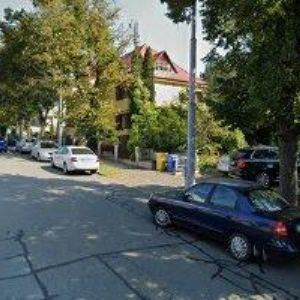 obrazek: avatar REAL EXPERT