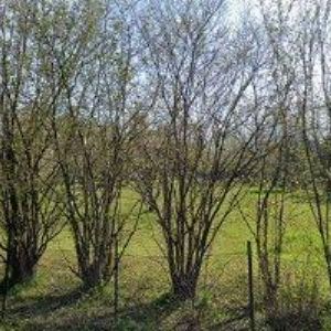 obrazek: avatar GALAS INVEST s.r.o.