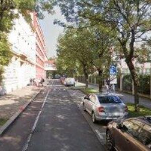 obrazek: avatar BECHEROVÁ PETRA Mgr.