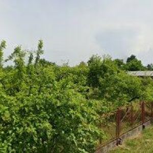 obrazek: avatar FOLTÝN LUKÁŠ Ing.