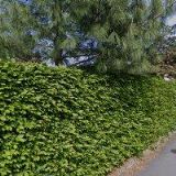 KOLAŘÍKOVÁ HANA RNDr.