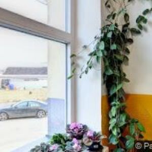 obrazek: avatar ÚČETNICTVÍ BUREŠOVÁ