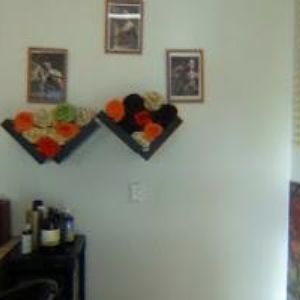 obrazek: avatar DANĚ OD KAČKY s.r.o.