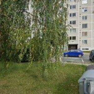 obrazek: avatar MĚCHOVÁ MARTINA Bc.-ÚČETNÍ SLUŽBY