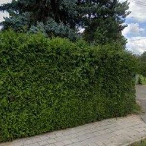 obrazek: avatar DRMOLOVÁ JANA