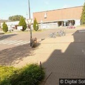 obrazek: avatar MN-TAX CONSULT, s.r.o.