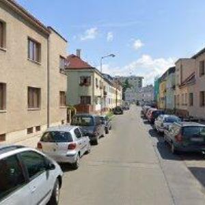 obrazek: avatar BENEŠOVÁ ALENA