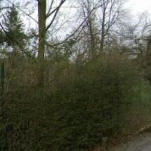 obrazek: avatar KUNČAR MARTIN Mgr.