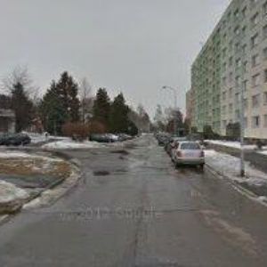 obrazek: avatar MARVANOVÁ JANA-SPRÁVA NEMOVITOSTÍ