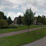 VYBÍRALOVÁ MARTINA