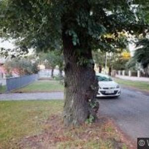 obrazek: avatar ADAMCOVÁ SOŇA