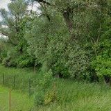 SLÍVOVÁ LENKA-ÚČETNICTVÍ