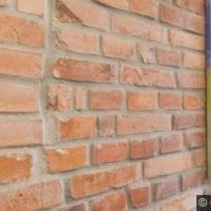 obrazek: avatar MACUROVÁ VANDA