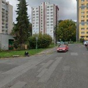 obrazek: avatar LEŠTACHOVÁ ALENA