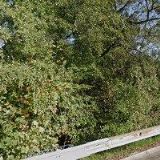 TRIADEM-ÚČETNICTVÍ