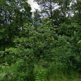 ERTELOVÁ MARKÉTA-VEDENÍ ÚČETNICTVÍ A DAŇOVÉ EVIDENCE