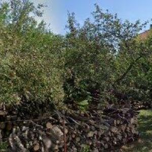 obrazek: avatar ŠTÁBL FRANTIŠEK Ing.