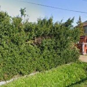 obrazek: avatar HORZENEK RENÉ