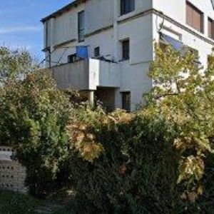 obrazek: avatar JEŘÁBKOVÁ MARTINA Ing.