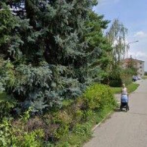 obrazek: avatar ŠUTOVÁ JANA Ing.