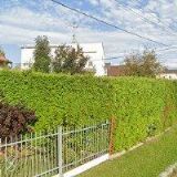 WALDEROVÁ VĚDA Ing.