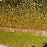 CONTRUST GROUP s.r.o.