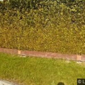 obrazek: avatar CONTRUST GROUP s.r.o.