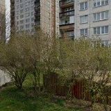 ŘEZNÍČKOVÁ MIROSLAVA Ing.