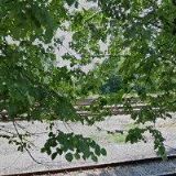 M STUDIO-MANAŽERSKÉ PORADENSTVÍ, s.r.o.