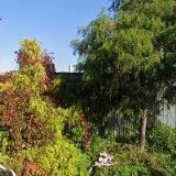 MANERA CONSULTA, s.r.o.