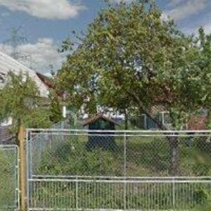 obrazek: avatar ŠRÁMKOVÁ LEONA