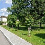 BENDA VLADIMÍR Ing.