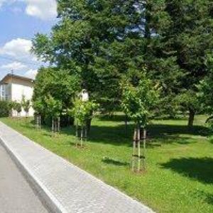 obrazek: avatar BENDA VLADIMÍR Ing.