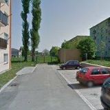 ZÁKLADNÍ ČLÁNEK HNUTÍ BRONTOSAURUS DELFÍN